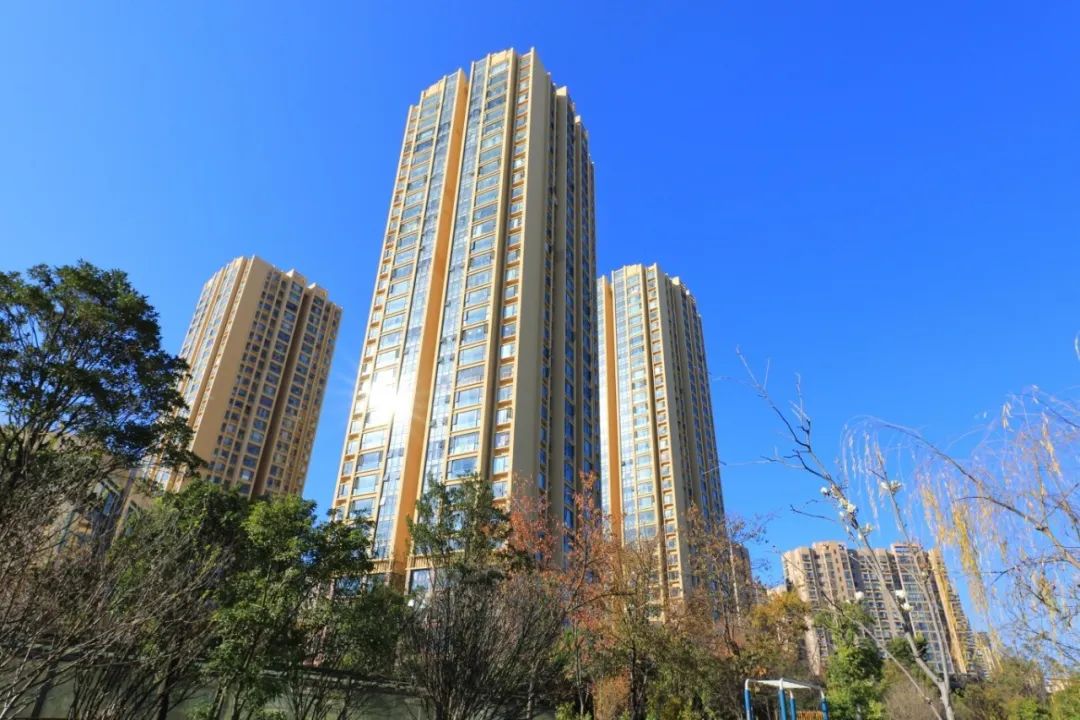 272ff19a86d2841b1ca0b72dd71ea5a2.jpg