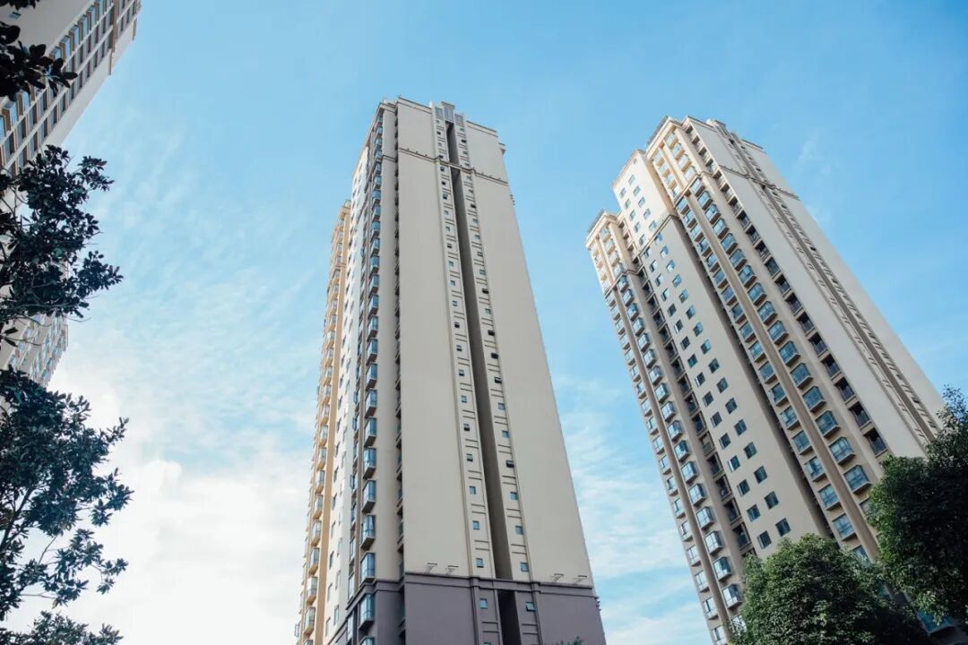 1761269603006015287.jpg c106956a37b03b4f9f8a1417f31afa66.jpg