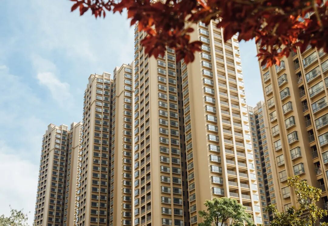 1761269611804055939.jpg 25b1ca147f4dd8e37332616ea830ed0d.jpg