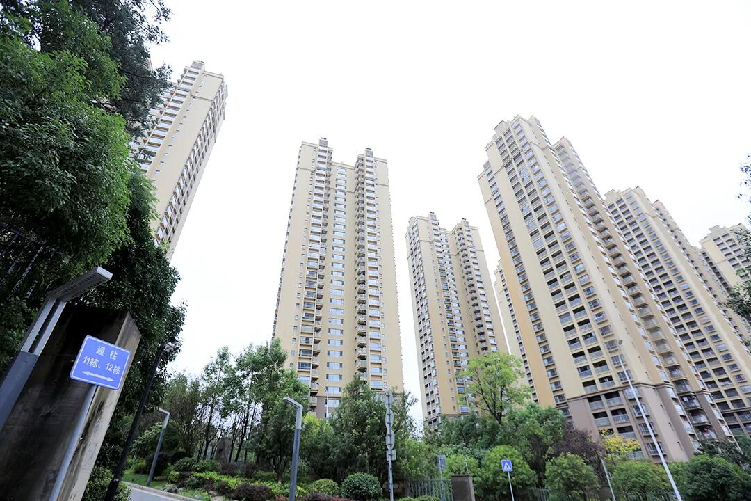 1761290333548091483.jpg 47c3ee5fe546c64ad24e2f0bc4ac6573.jpg