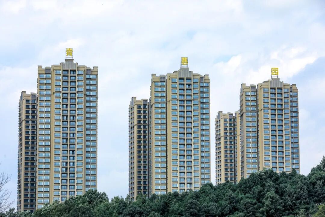 1761622503765031386.jpg 4db6fdbe6de70afd132c72aa41217601.jpg