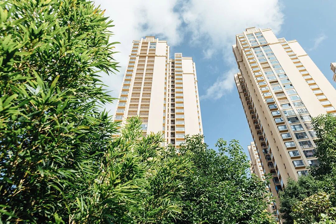 1763718005144017794.jpg e908a17faffd22a24db52f5ae9896107.jpg