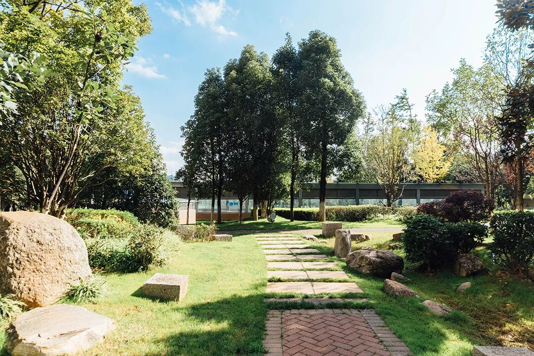 1763718013348073066.jpg 32d961ca1ef5fd58005c601d365221ea.jpg