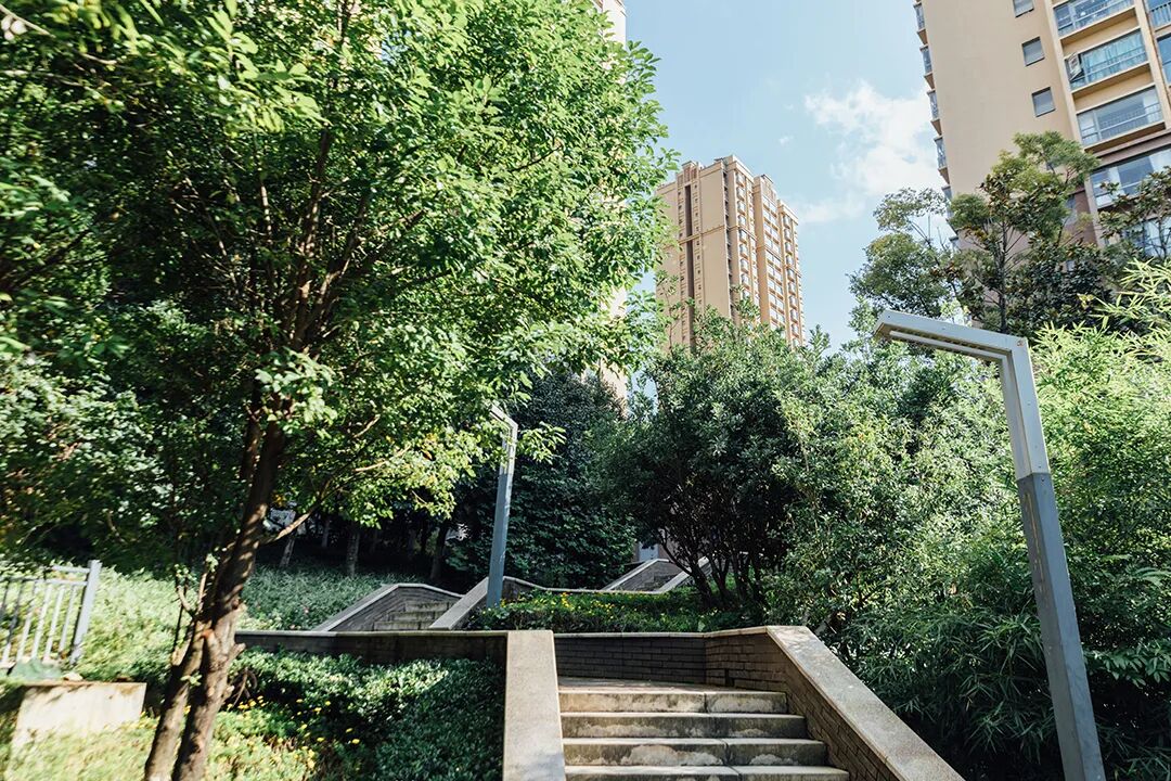 1763718043880027242.jpg 3df04d44515dd05115f7bb97fdc056a3.jpg