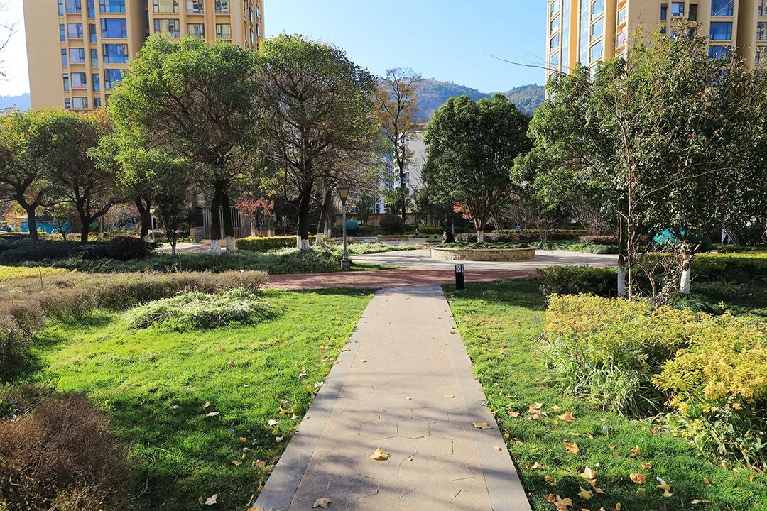 1764151301709001374.jpg 4a3f62557d772cd8bd7e7edd42943d4e.jpg