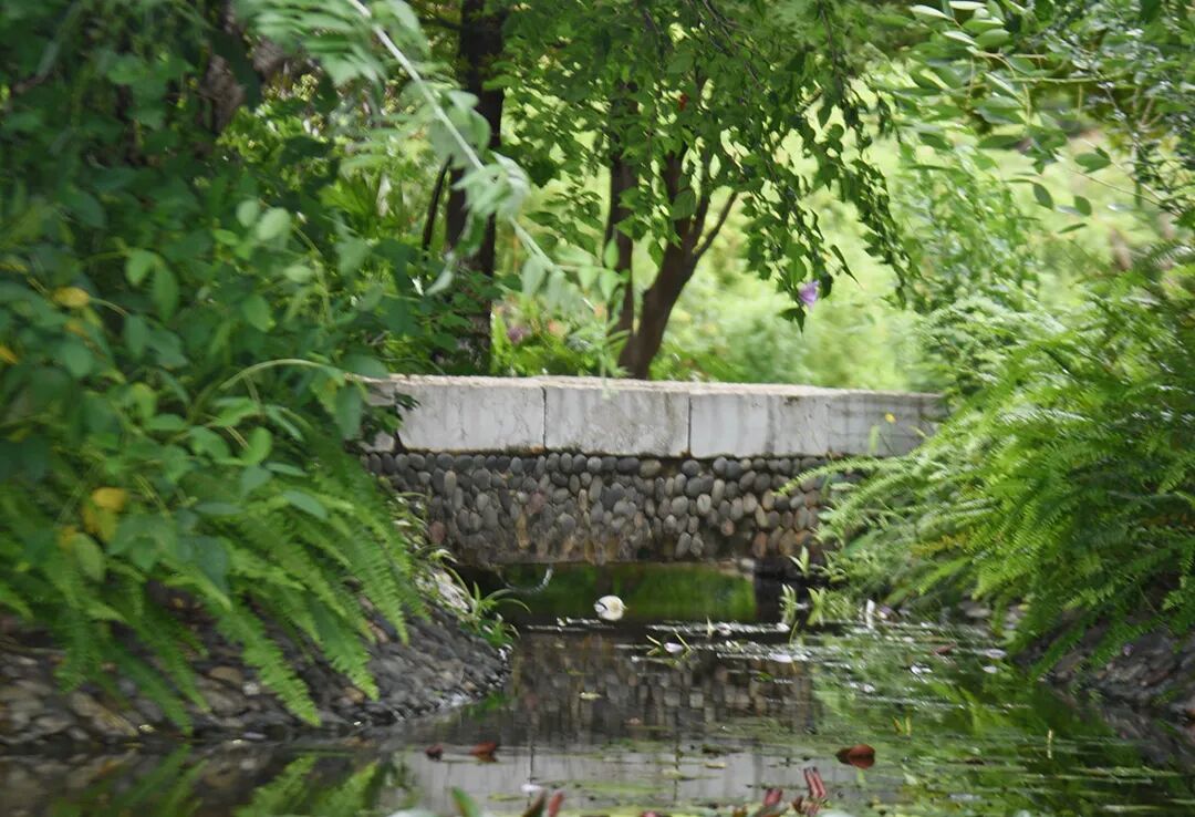 1764151346773092126.jpg eb1331cd43473fbcf93f517c14603f10.jpg