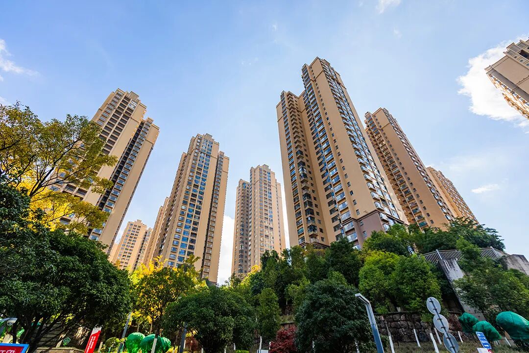 1766119518561007763.jpg 050c8675c7f61cdd396b4d88e5964b04.jpg