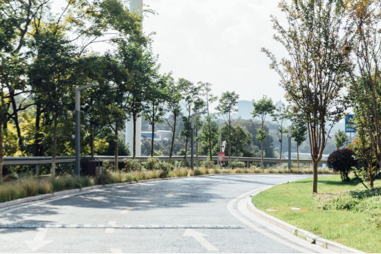 1766119538561065569.png 8f81b431231dde3c18496e041b746caa.png