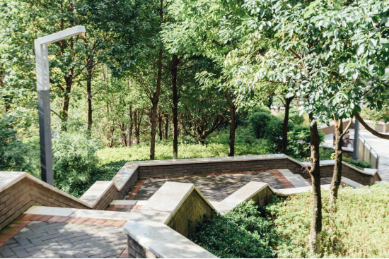 1766119546265065108.png 397f3adaf66ac2eaaedf2cfa95effb70.png