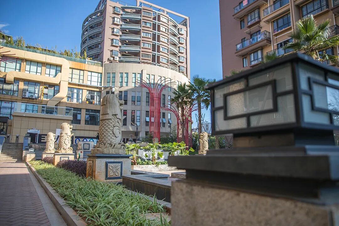 1768296345301028479.jpg 0dec4c1f86f43f7f0480bf3babb645eb.jpg