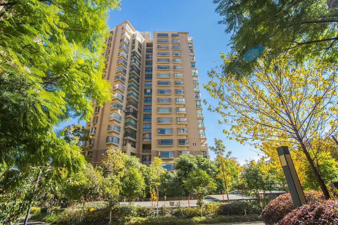 1773192081437067988.jpg 4794869219221d116a89d1671ab98bad.jpg