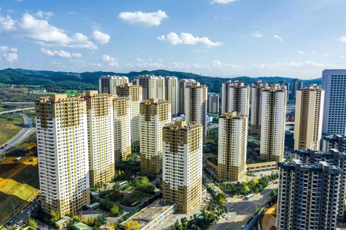 1773623697170084846.jpg 037af9a22a83fb9efed76138b29c9a0b.jpg